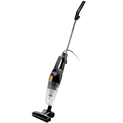 Do Vacuums Kill Spiders? [Don’t Make This Mistake!]