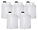 Mountain View - Caraffa in plastica HDPE, 1 gallone, confezione da 5