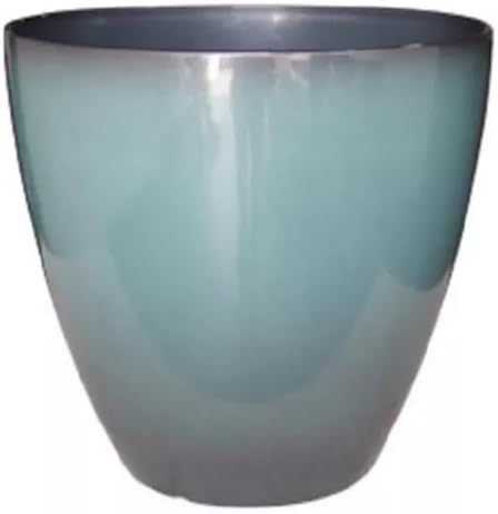 31WNW-1CphL._AC_ As 3 melhores Plantas para Iniciar a cultivar