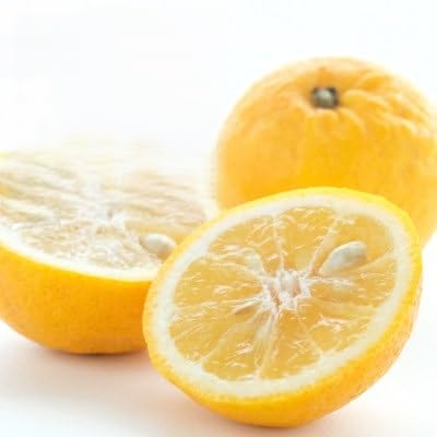 (2026年4月下旬頃出荷)ワタまでおいしい ニューサマーオレンジ 3kg(C25-212)