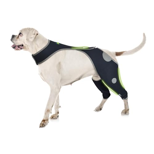 How long can a dog wear a diaper in heat