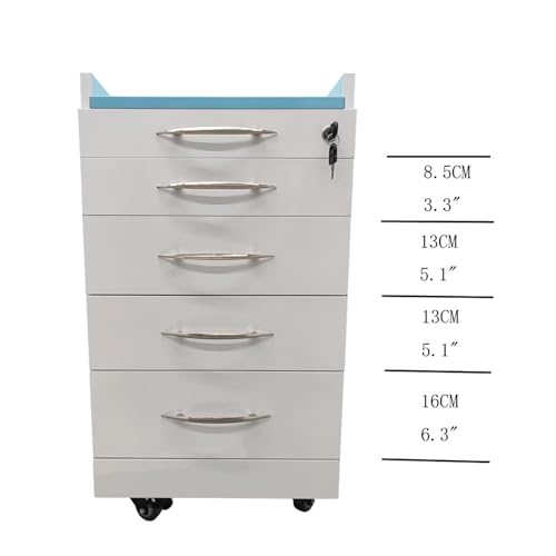 WYDDDARY 4 Drawers Dental Special Storage Cabinet Mobile Cart Stainless Steel Moving Side Cabinet Utility Storage Dresser with Lock and Wheels for Dental Clinic Hospital(with 2 Pallets)