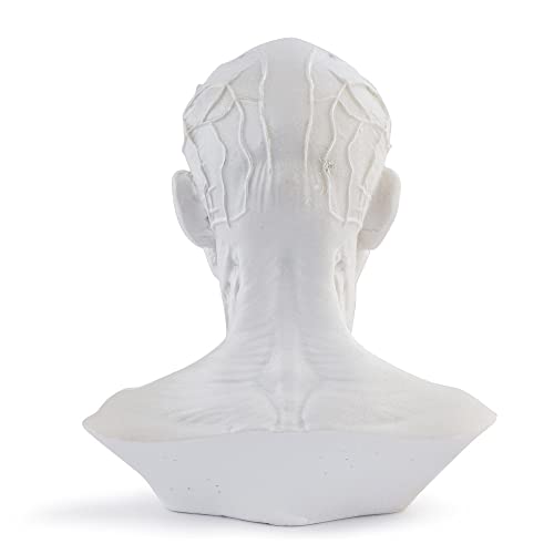 Image of Gaolinci 4-Inch Portable Human Model Craft Anatomy Skull Head Muscle Bone Medical Artist Drawing Study