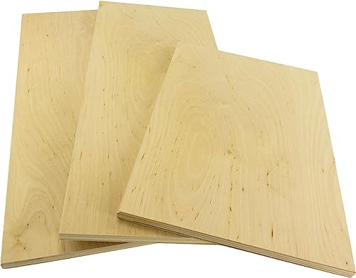 Multiplex Platte Zuschnitt, 12.0 mm Stärke - Hochwertig, robust und ideal für Heimwerker-Projekte (40x40)