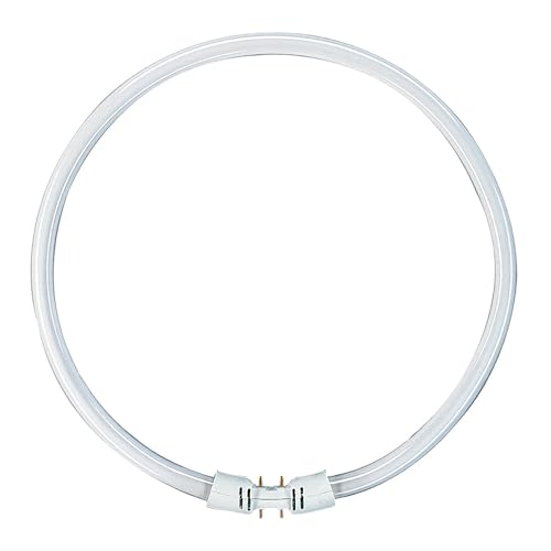 NCC Licht Lámpara fluorescente T5 tubo redondo 22 W/865 2GX13 4P luz diurna 6500 K blanco frío