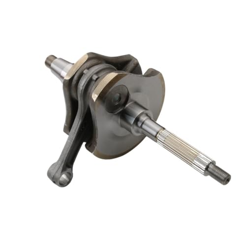 Vilebrequin Premium pour Moteur Scooter Scarabeo Atlantic Sport City OEM