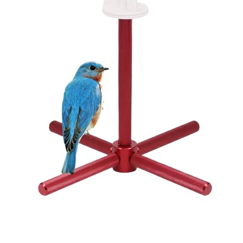 Cileznw IEp ̂ - C^NeBu ʔ  ] | ̎~܂ X^h P[W 肨,RV[ uo[h JiA p P[W  ƒ ^ ^ V  