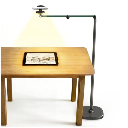 Overhead Phone Mount with Light