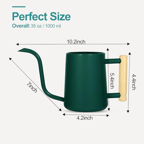 Image of Watering Can Indoor Plants, 35 oz /1000 ml Metal Stainless Steel Watering Can Pot with Long Spout for Indoor House Plants Bonsai Outdoor Garden Flower Decorative (Alpinegreen)