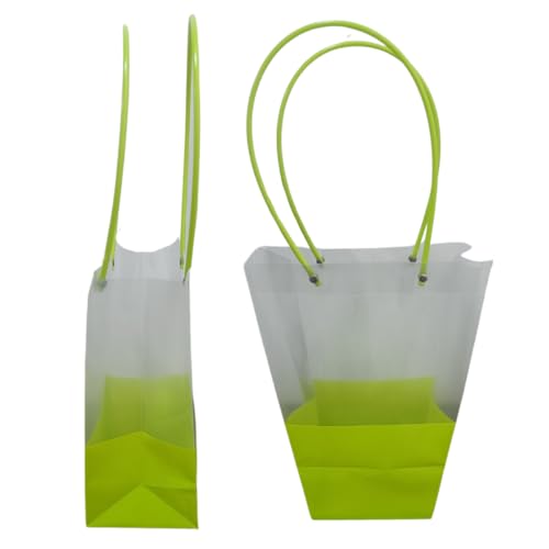 Image of OasisTransparent Gift Bag 10pcs, Foldable, Empty, Decorative, Reusable, 30x35 cm, Multipurpose Birthday, Anniversary, Wedding, Return Gifts Hamper Packaging (Dual Green)