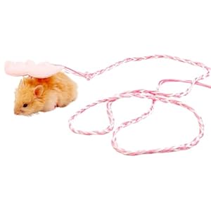 Hamster Harness,Adjustable Harness Vest Leash Hamster Chest Straps with a Small Bell Rat Mouse Squirrel Sugar Glider Small Animal (Pink)