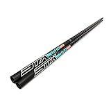 STX RDM C40 Windsurf Mast 460