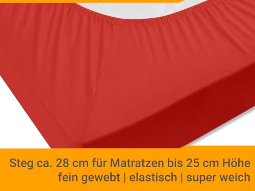 npluseins Jersey Spannbetttuch Baumwolle, 180x200-200x200 cm, Rot – Ansicht 5