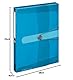 Herlitz Sammelbox A4 PP mit Rückenetikett, 1 Stück mit Design-Aufdruck, Rückenbreite 4 cm, transparent blau