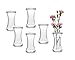 Produktbild 6 Stück Runde Mini Vasen Typ200 Glasfläschchen kleine Dekoflaschen Flasche Väschen Vase Glasflaschen Blumenvase (6 Stück)