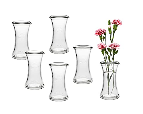 Lot de 6 mini vases ronds type 200 - Petites bouteilles décoratives - Bouteilles en verre - Vase à fleurs (6 pièces)