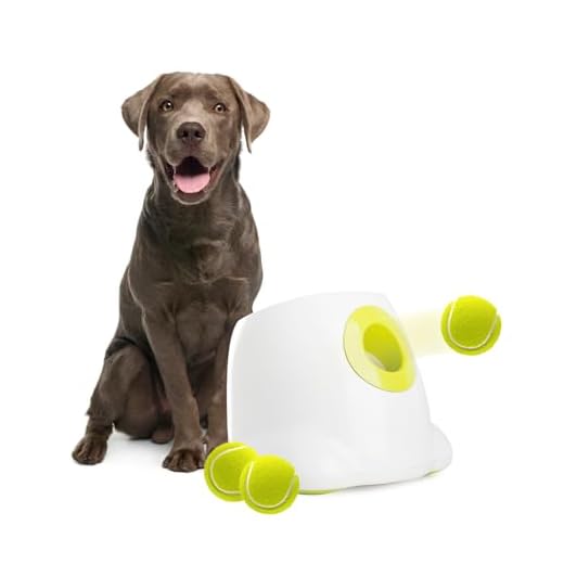 AFP Automatic Ball Launcher Dog Ball Thrower Machine Interactive Hyper Fetching Toy for Large Dogs, 3 Tennis Balls Included（2.5 inch）