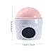Bothyi Hamster Habitats Ceramic Hamster Nest Ice Cream Shape Hut Cute Pet Hideout Cool House for Chinchilla Birds Squirrels Chipmunk, Pink