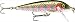 Rapala Countdown 3/16 Oz Fishing lure (Rainbow Trout, Size- 2)