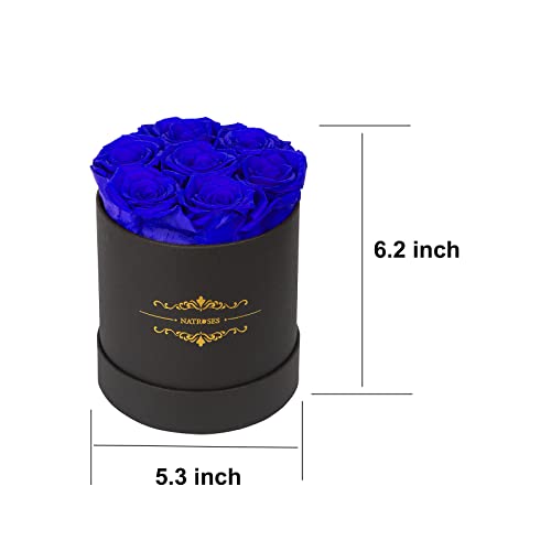 Natroses Preserved Real Roses In A Box Roses That Last Up To 3 Years, Long Lasting Roses Gifts For Her, Valentines Day Gifts For Her (Royal Blue) #TOP5