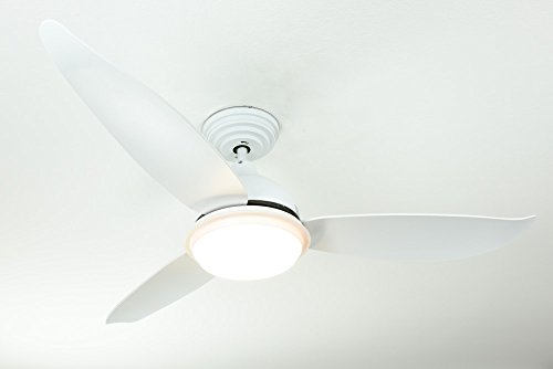 Ventilador de techo de bajo consumo Pepeo Raja elegante con 3 palas 4