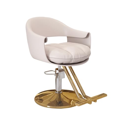 Lauft Salon Stool Swivel Chair Backrest Barber Hair Dresser Chair Hydraulic Lift Rotating Spa Seat Light Grey