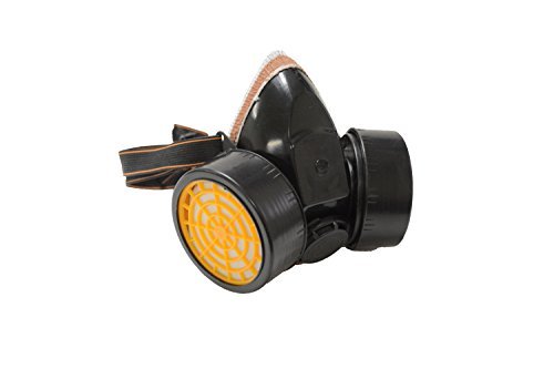 Double Filter Paint Mask (Universal Fit)