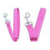 Barking Basics Dog Leash - Pink - 1" x 6' Length