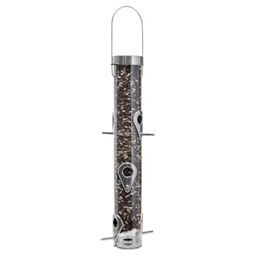 Tray bird feeders for mixed seed that will transform your backyard experience 1 tray bird feeders for mixed seed