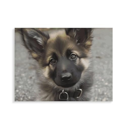Peinture par numéros chiot berger allemand 30x40 cm encadré pour adulte débutant