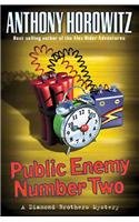 Public Enemy Number Two: A Diamond Brothers Mys... 0756932629 Book Cover