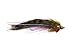 Aqua Flies Fish Skull Trailer (Rainbow/Olive)