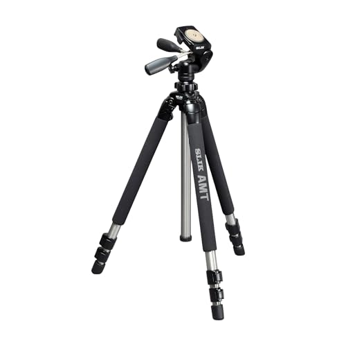 SLIK Pro 700 DX Tripod with 700DX 3-Way, Pan-and-Tilt Head - Titanium