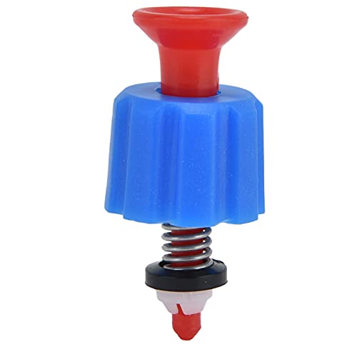 DEWIN Valvola limitatrice di pressione, valvola di...