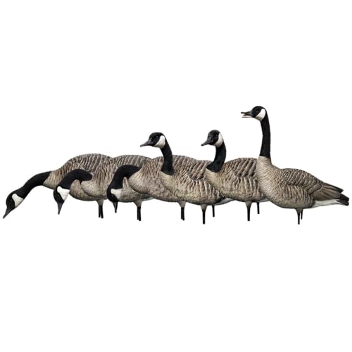 Avian-X AXP Honkers Full Body Canada Goose