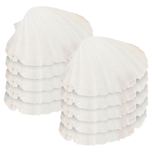 CHICAMPERA 10 z^eLM hp VR?Lkv[g pʐ^ ȑprd؂M H팓pϋvVFgC