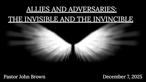 Page de couverture de Allies and Adversaries: The Invisible and the Invincible