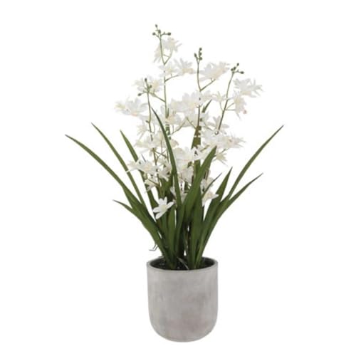 Image of CG Hunter Faux Vanda Orchid Plant, Premium Artificial Indoor Flower Display Stands 26 inch, Beautiful Sculptural Blooms that Lasts Forever, White Planter Pot Included