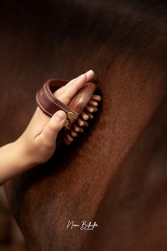 Equimour Massagestriegel – Pferdestriegel aus Holz mit stabilen Holznoppen & flexiblem Gummikissen – Für effektive Massage, Durchblutung & Wellness-Pflege deines Pferdes