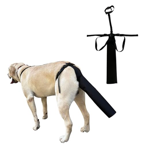 Couverture de queue pour animal de compagnie empêche blessures lécher races de chiens