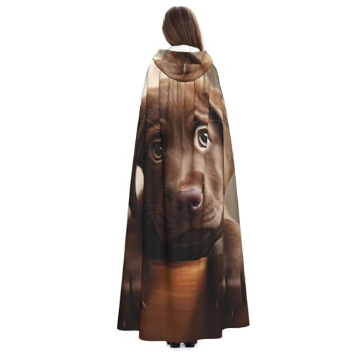Costumes cosplay Halloween avec grande cape à capuche imprimé chien
