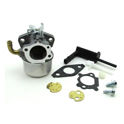 Carburateur B&S 795069 698859 pièce moteur tondeuse thermique