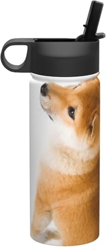 Č    ^fM ۉ ۗ X|[c{g lC XeX{g X|[cΉ RȂ 530ml j̎q ̎q  v[g