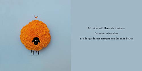 La Belleza de Las Ilusiones / The Beauty of Illusions