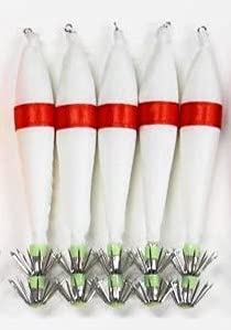 ދ d| Xbe 5.0 (12cm) 10{Zbg FIł܂  CJނ GMO A20sute50hBM10ps (06(/ԑ))