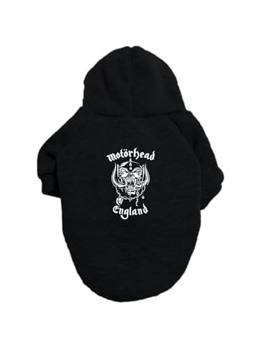 ybg [^[wbh hbOEFA  ybgEFA p[J[ ^ ^ t@bV   ybgpi ʋC Eѕی U H~ {̔