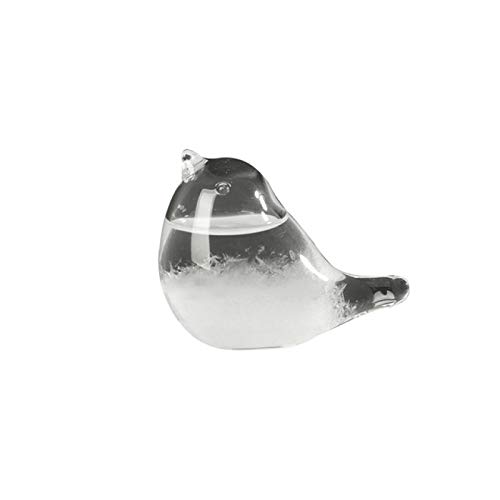 Desktop-Dekoration, Storm Glass Wetterstation Liquid Barometer Wetter Predictor Fashion Office Desktop-Dekor