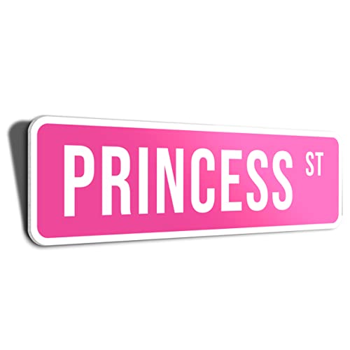 Hk Studio Sign Decor Princess St Funny Poster 17.3" X 4.9" - Funny Signs For Dorm, Teen Room Decor, Aesthetic Room Decor, Downtown Girl Room Decor, Coquette Room Decor, Hypebeast Room Decor #TOP12