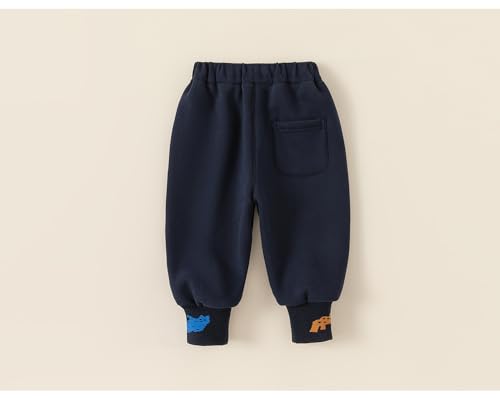 Meufam Toddler Boy Cartoon Dinosaur Embroidered Sweatpant Solid Color Sport Jogger Cotton Active Playwear Fleece Lined Pants3