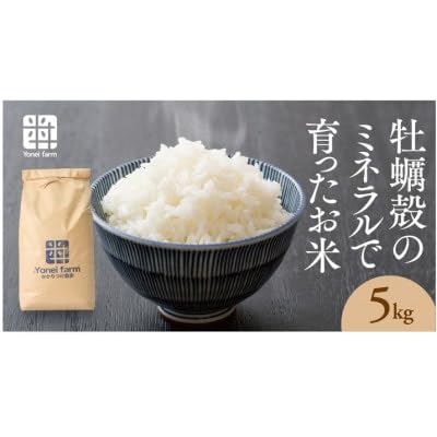 おいしいお米(5kg)無洗米 リピーター続出